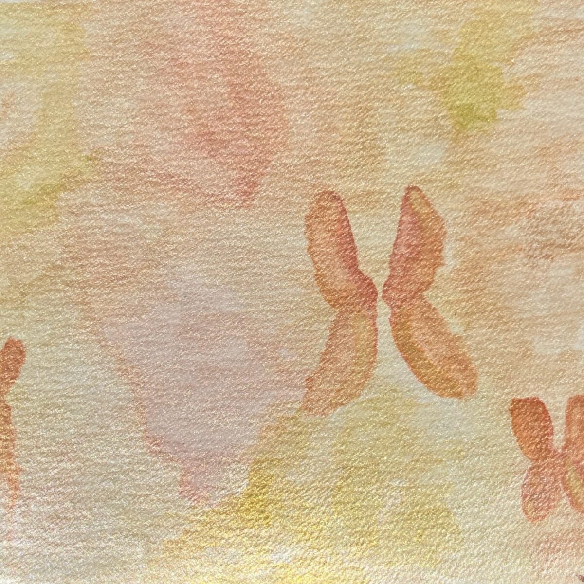 Genesis Code